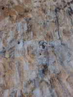 SNV80425.JPG